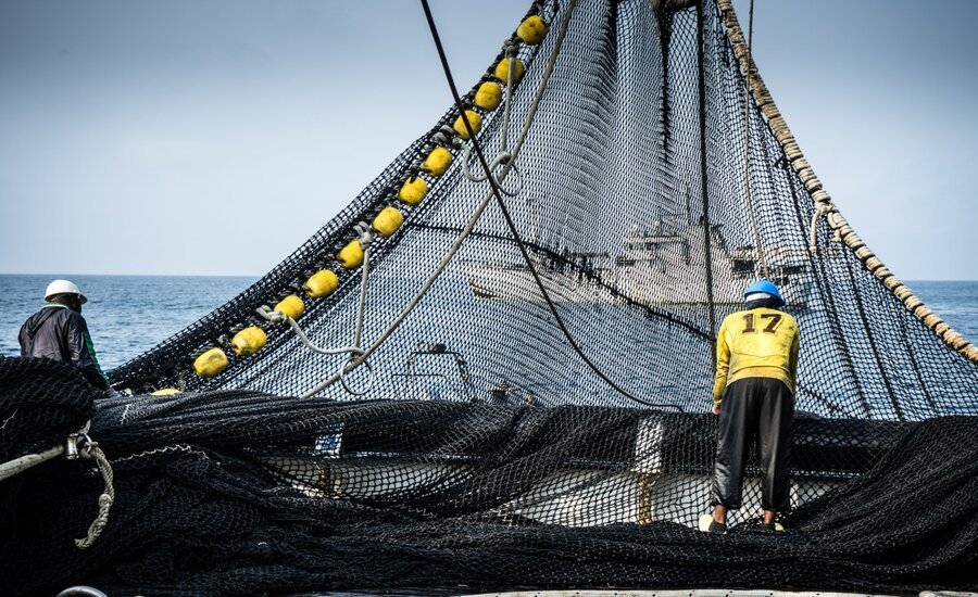 Article-fisheries-day-21-nov