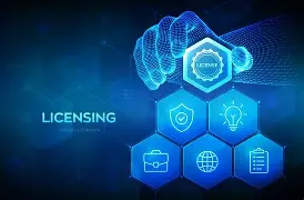 Copyright Law and the Digital Publishing Industry: Licensing and Privacy Issues