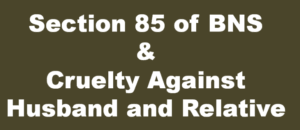 Misuse of Section 85 BNS, 2023: Judicial Response and Procedural Safeguards in India