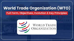 Anti-Competitive Practices in International Trade: Challenges to Fair Competition under the WTO Framework