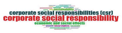 Rethinking CSR: Transforming Corporate Compliance into Sustainable Development Commitment