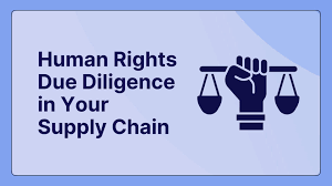 International Framework on Human Rights Due Diligence
