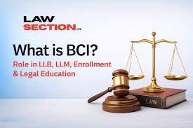 Role of Regulatory Bodies in Legal Education in India: A Critical Analysis of the UGC and BCI Interface